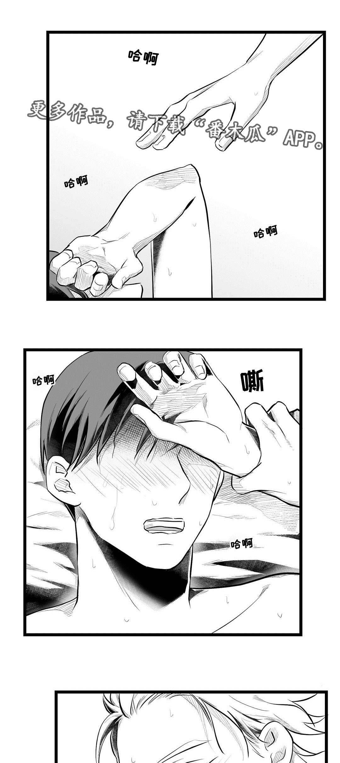 《巫师与王子》第69章野心 第8页
