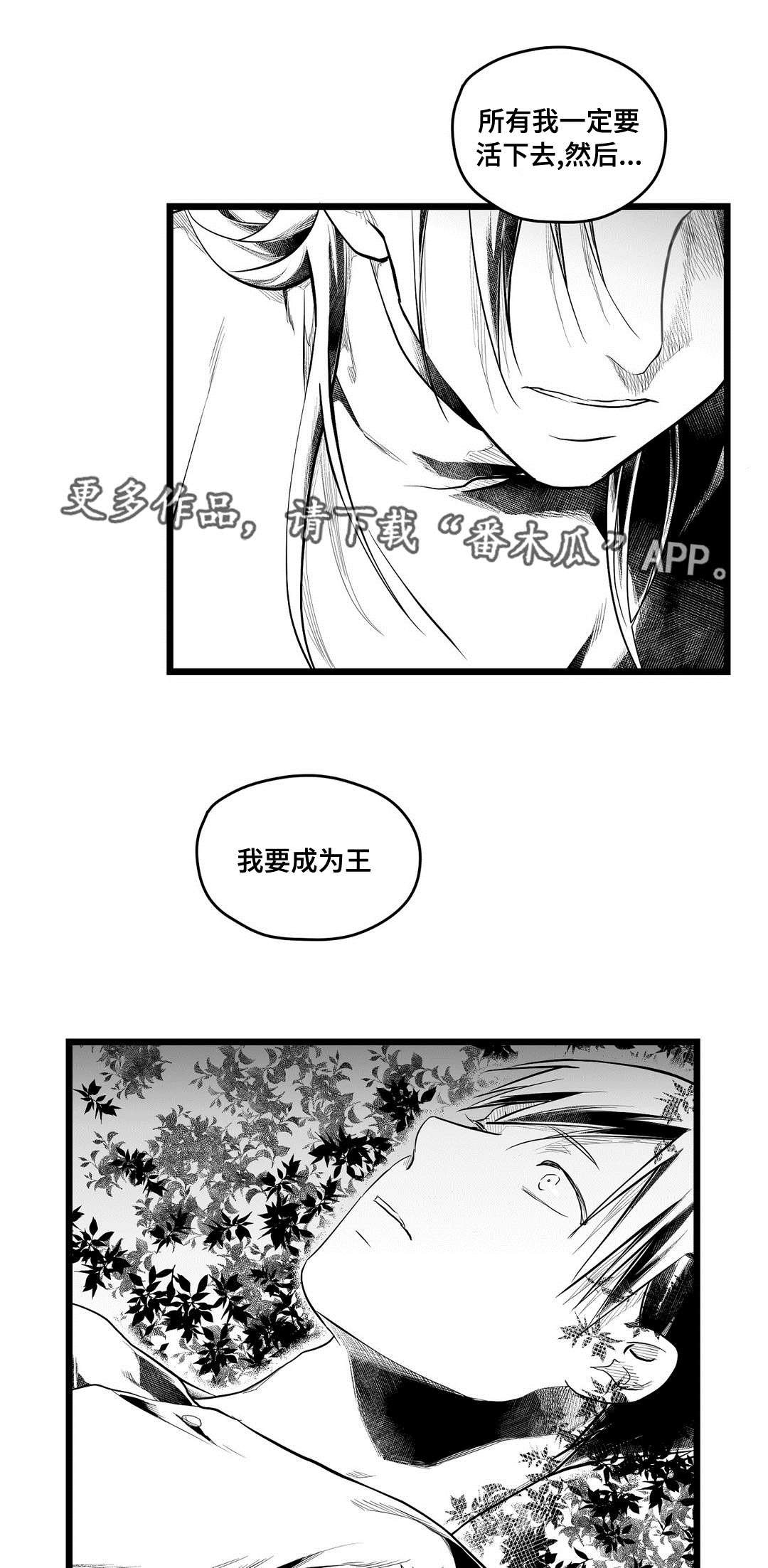 《巫师与王子》第71章命运 第10页