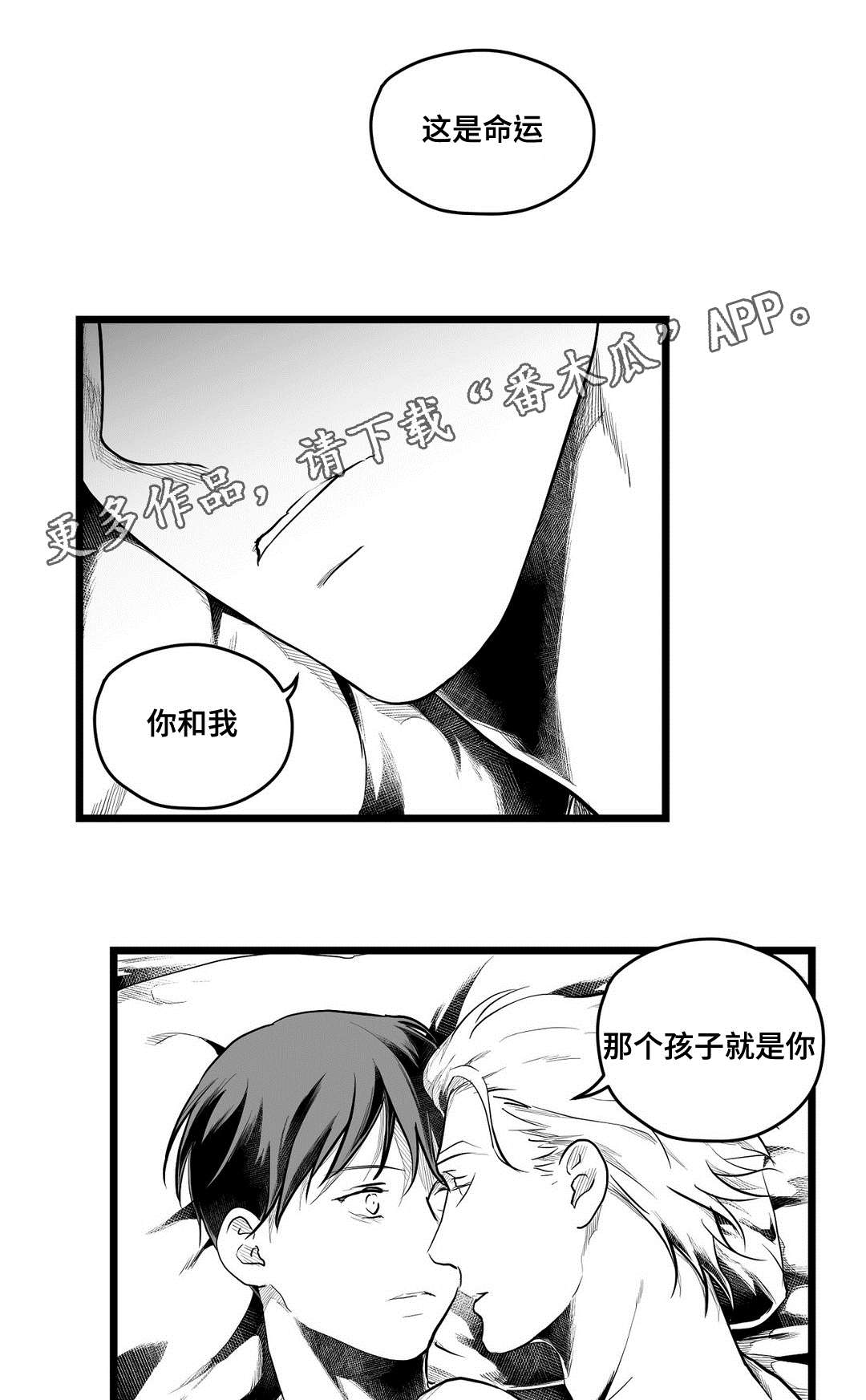 《巫师与王子》第71章命运 第12页