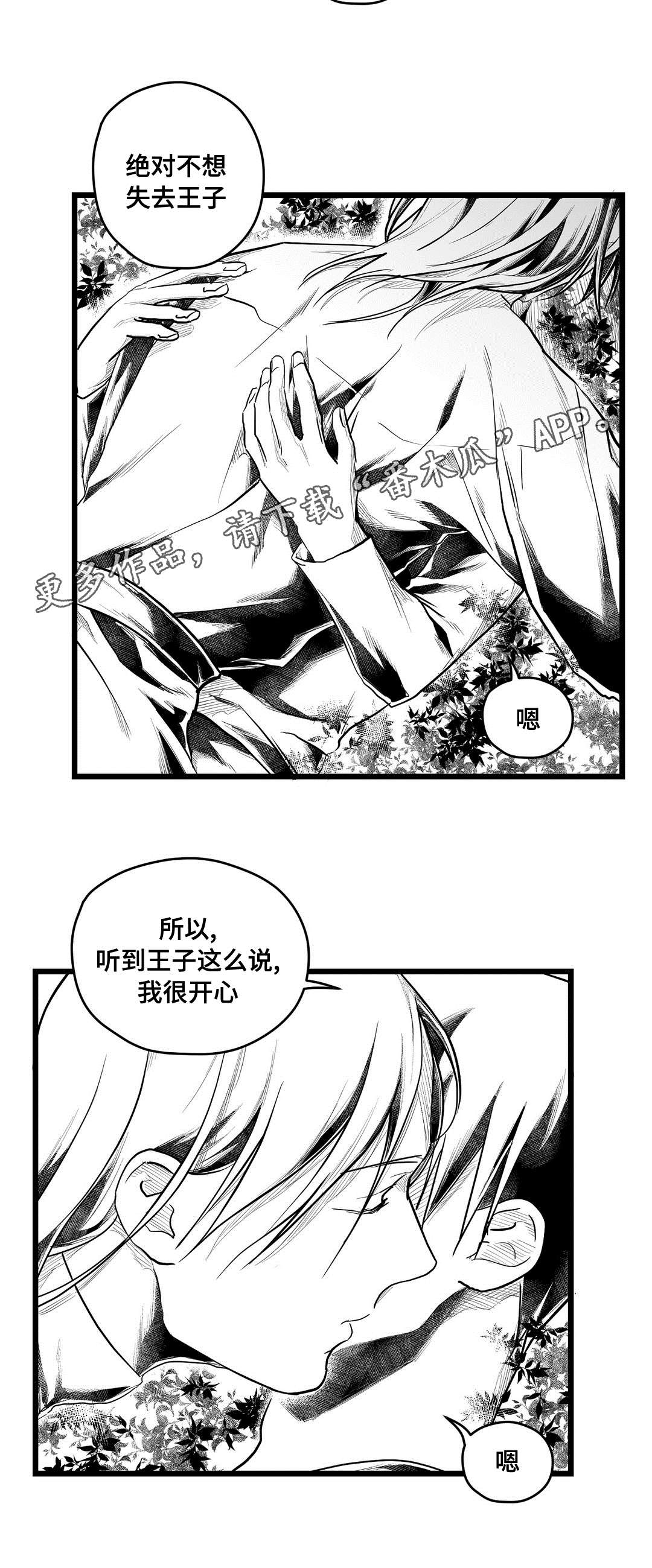 《巫师与王子》第71章命运 第2页