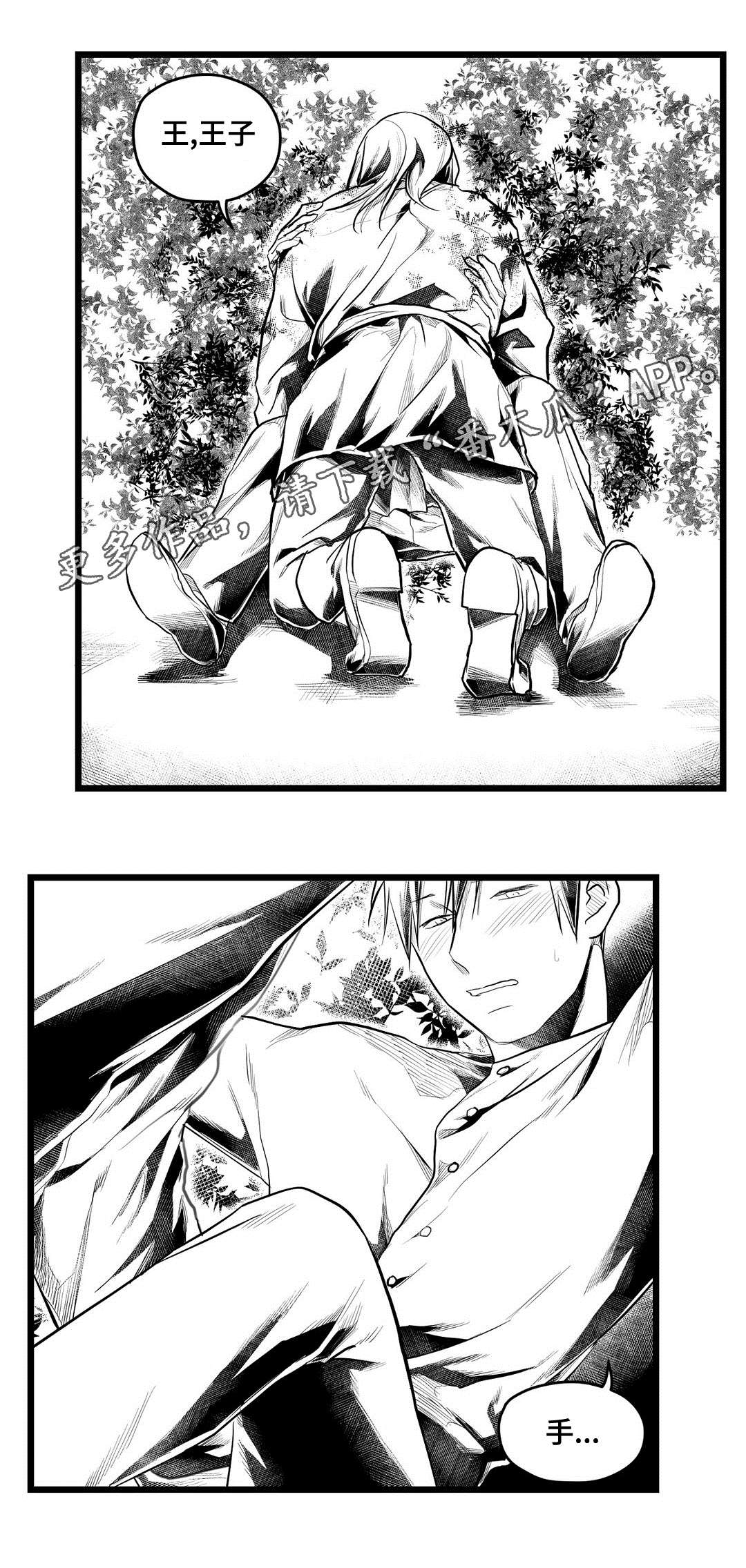 《巫师与王子》第71章命运 第3页