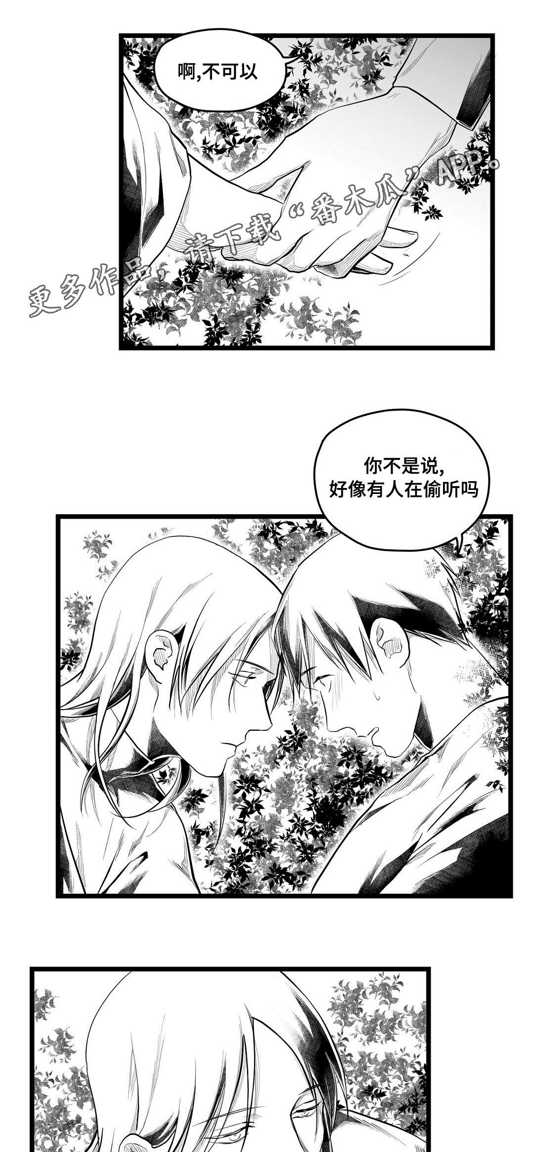 《巫师与王子》第71章命运 第5页