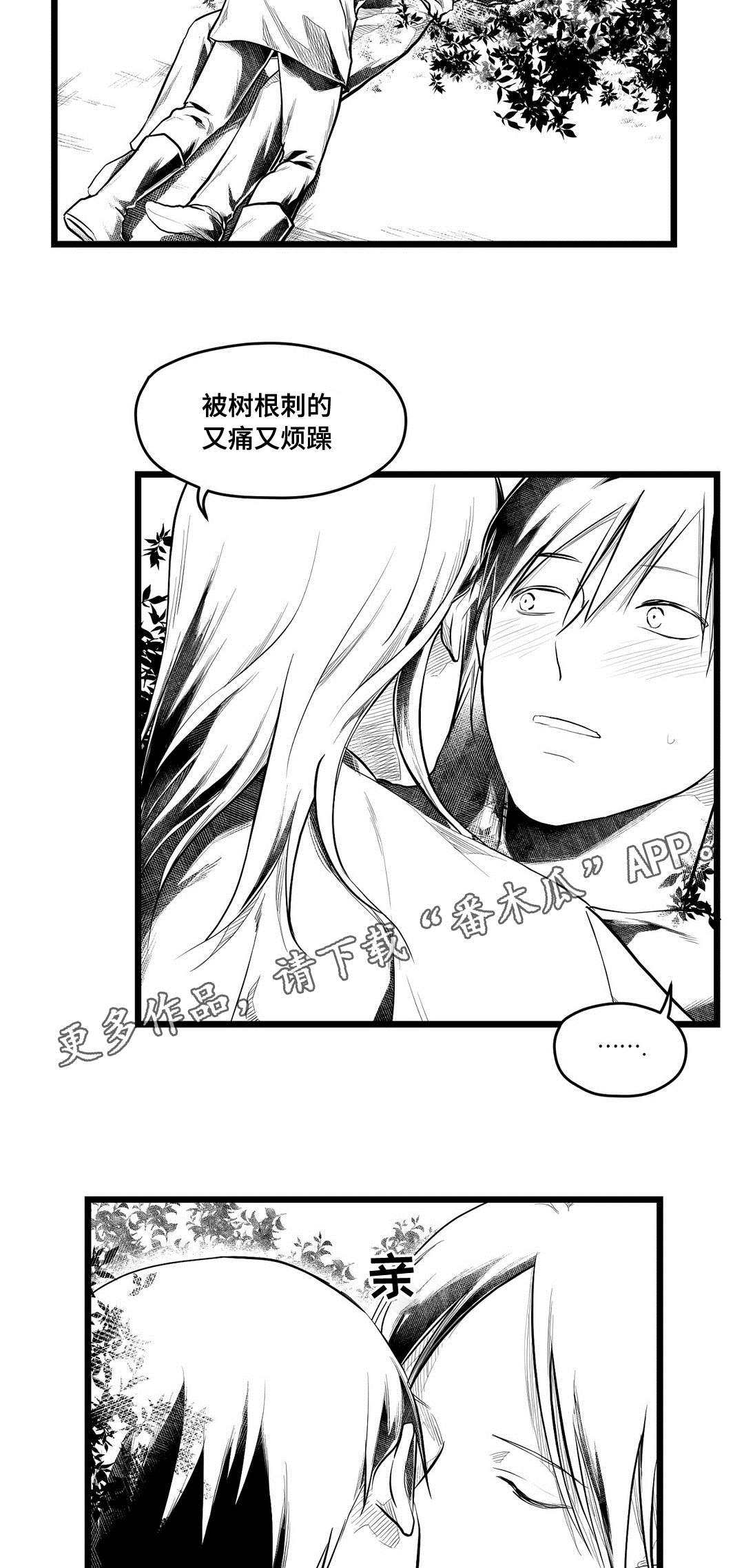 《巫师与王子》第71章命运 第7页