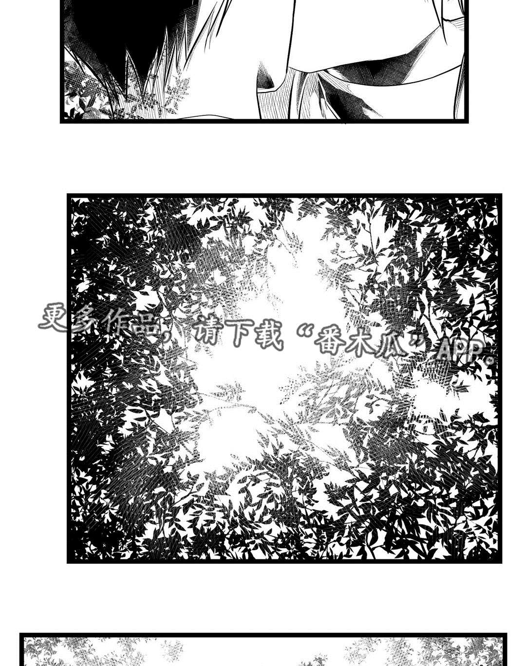 《巫师与王子》第71章命运 第8页