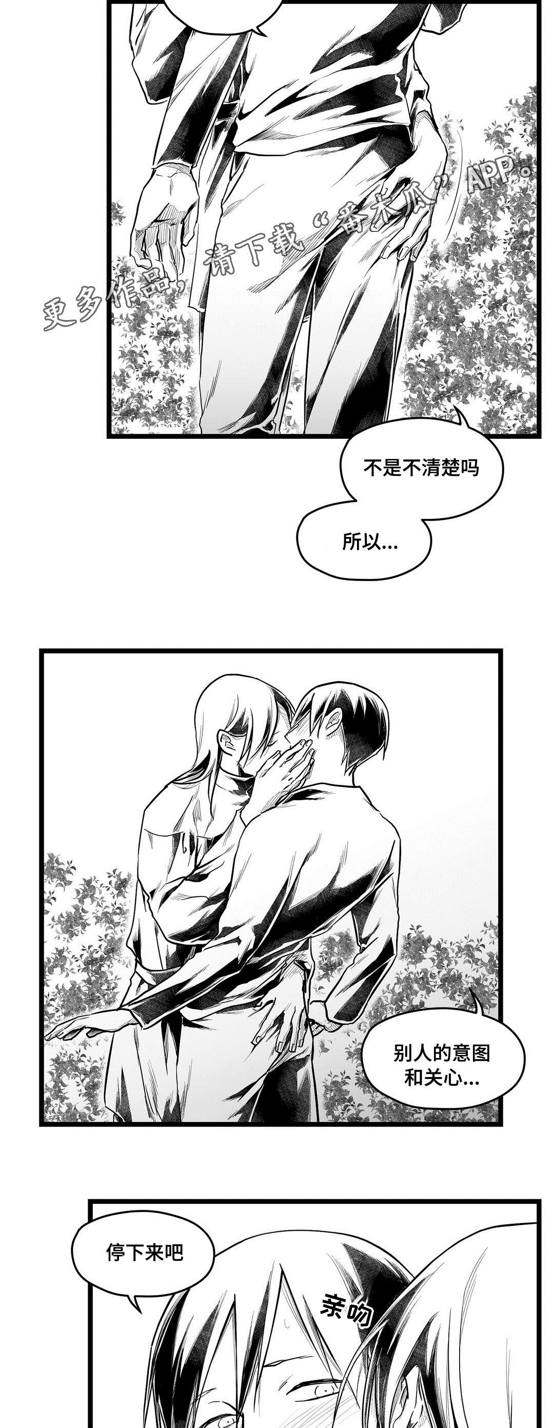 《巫师与王子》第70章关心 第10页