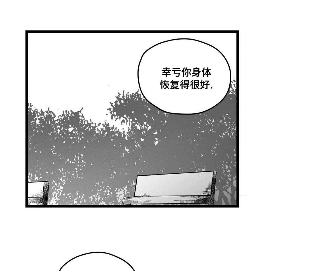《巫师与王子》第70章关心 第3页