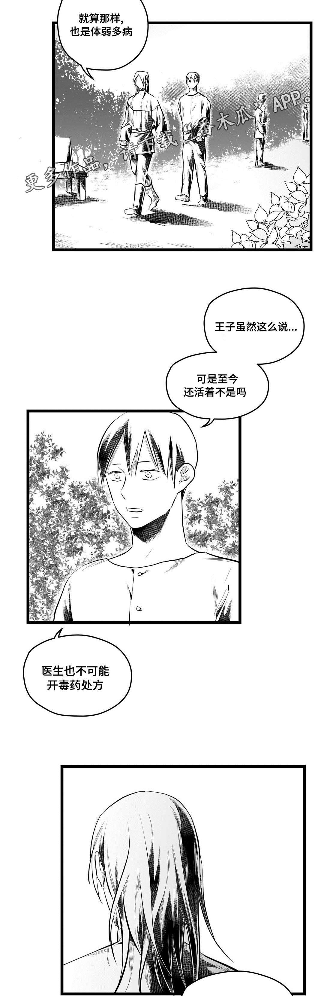 《巫师与王子》第70章关心 第4页