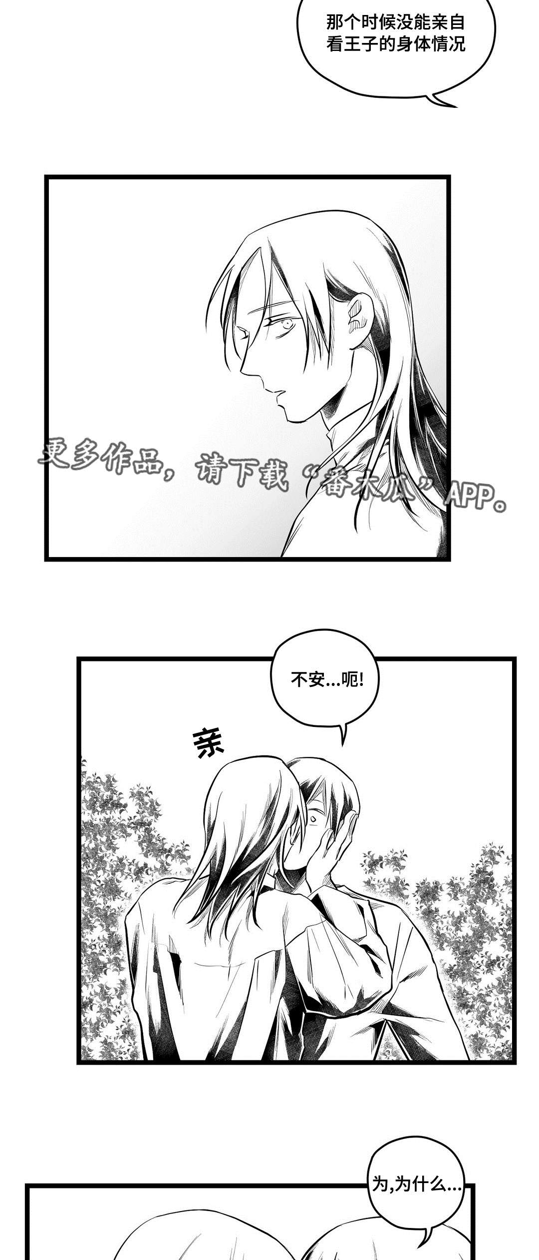 《巫师与王子》第70章关心 第5页
