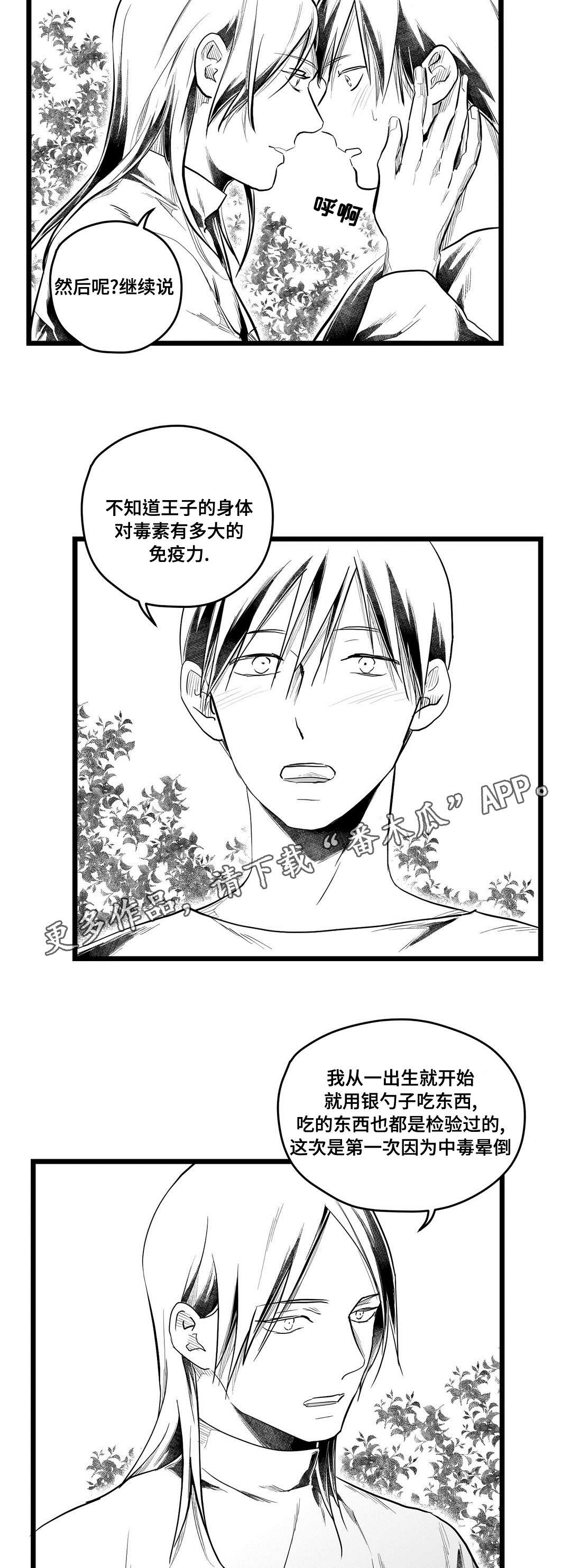 《巫师与王子》第70章关心 第6页