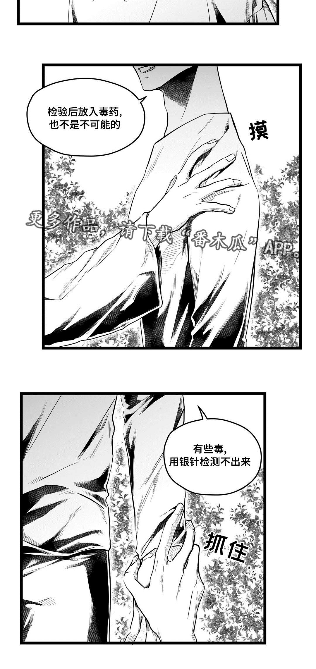 《巫师与王子》第70章关心 第7页