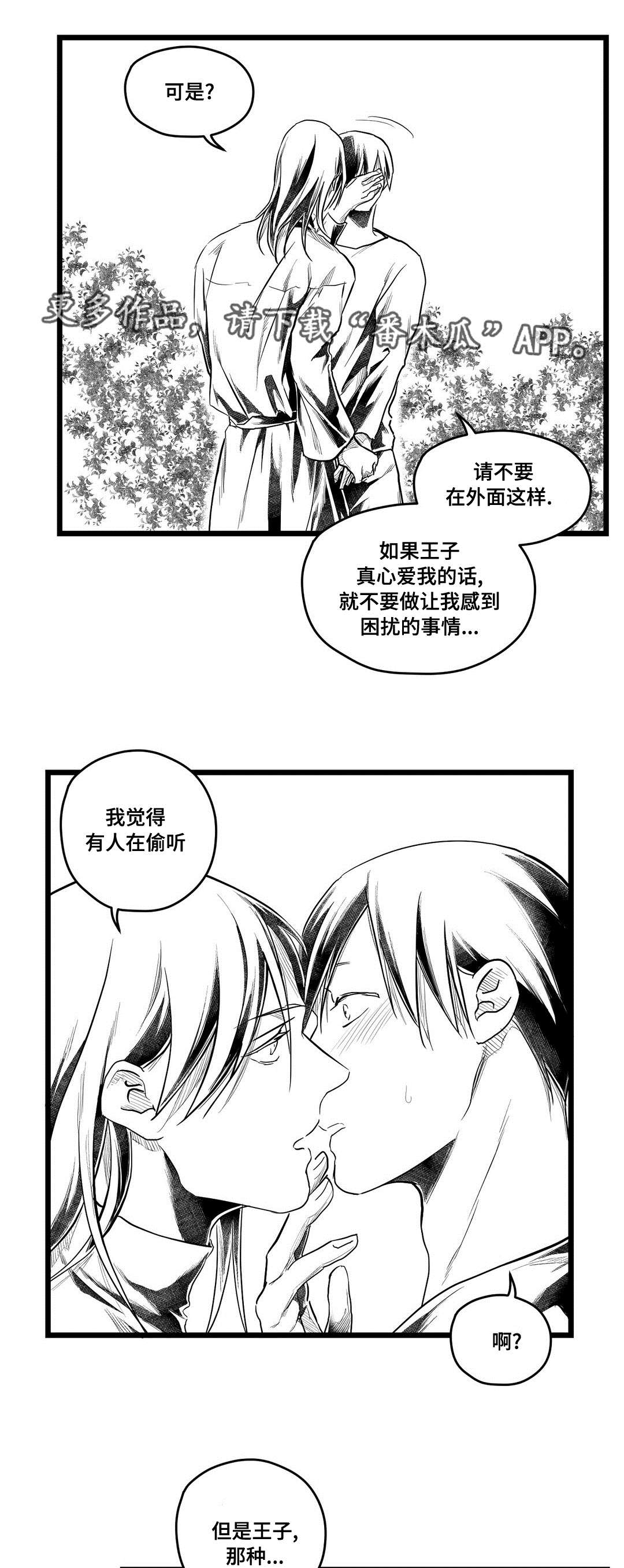 《巫师与王子》第70章关心 第9页