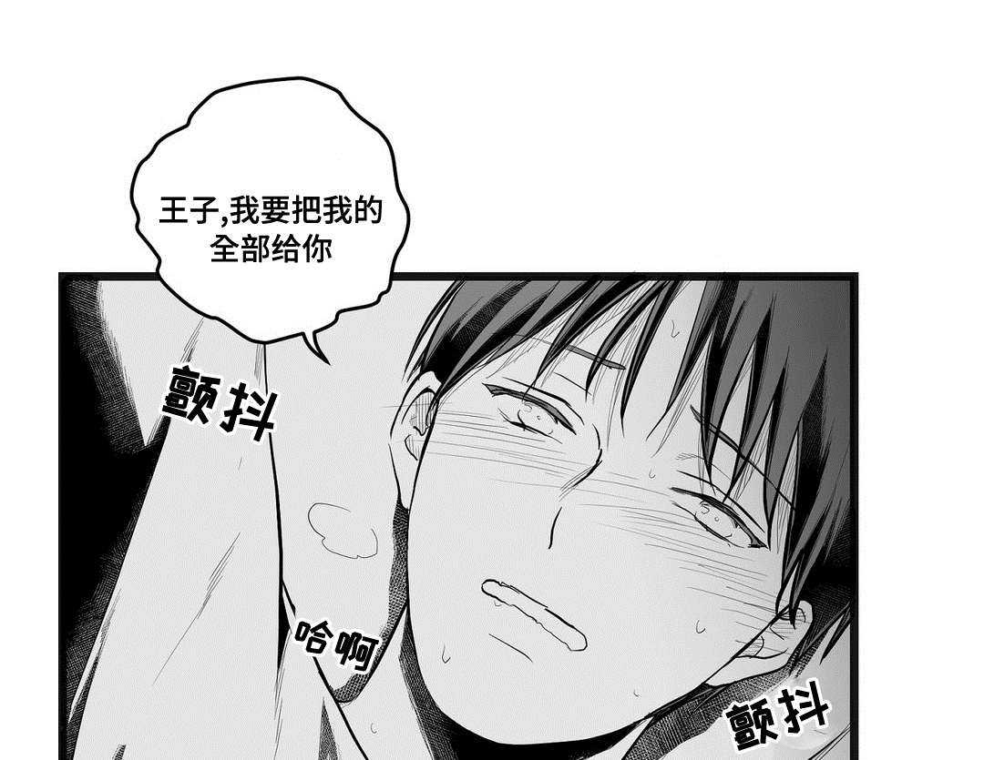 《巫师与王子》第73章幕后真凶 第15页