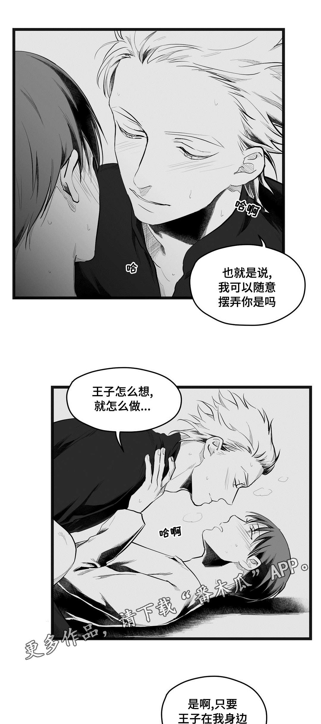《巫师与王子》第73章幕后真凶 第17页