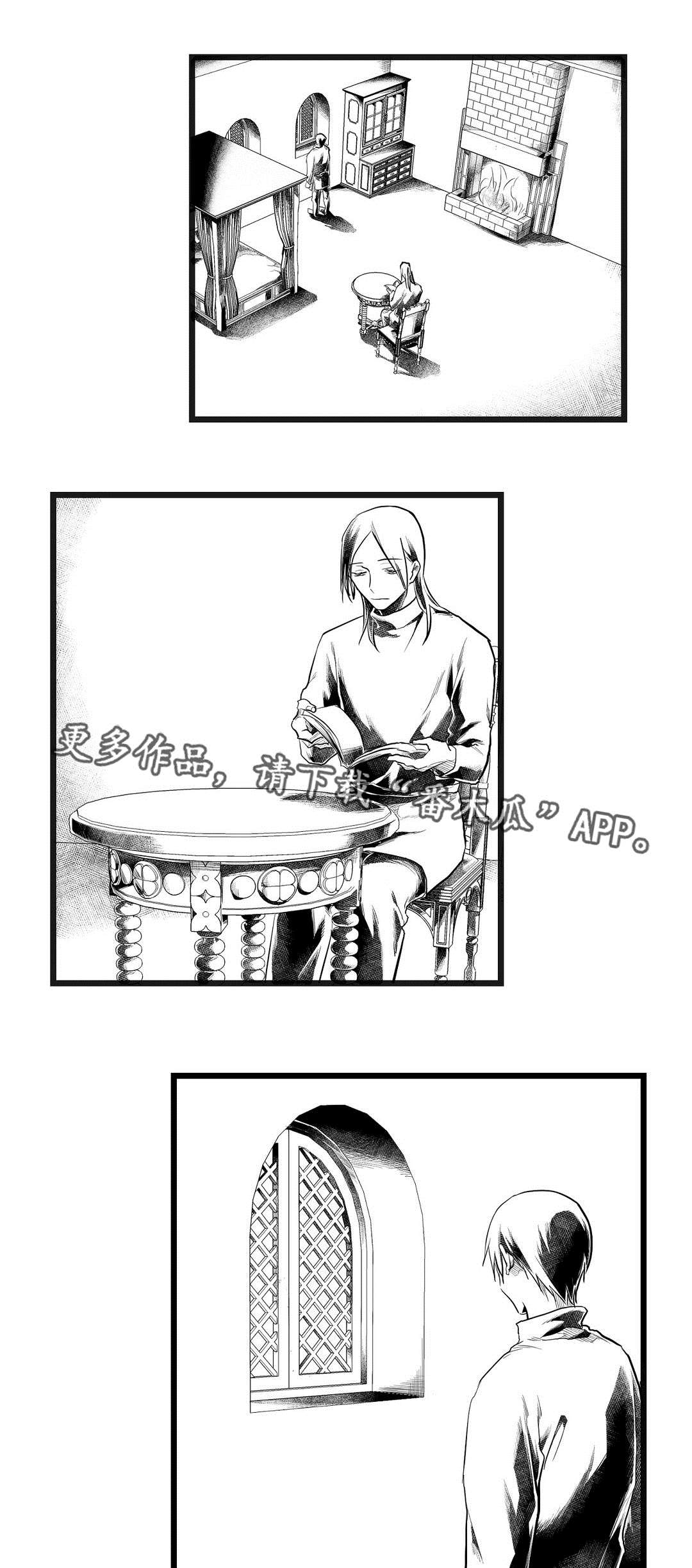《巫师与王子》第73章幕后真凶 第1页