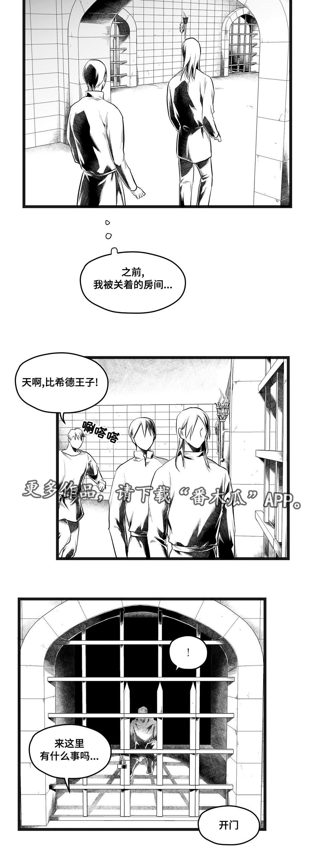 《巫师与王子》第73章幕后真凶 第8页