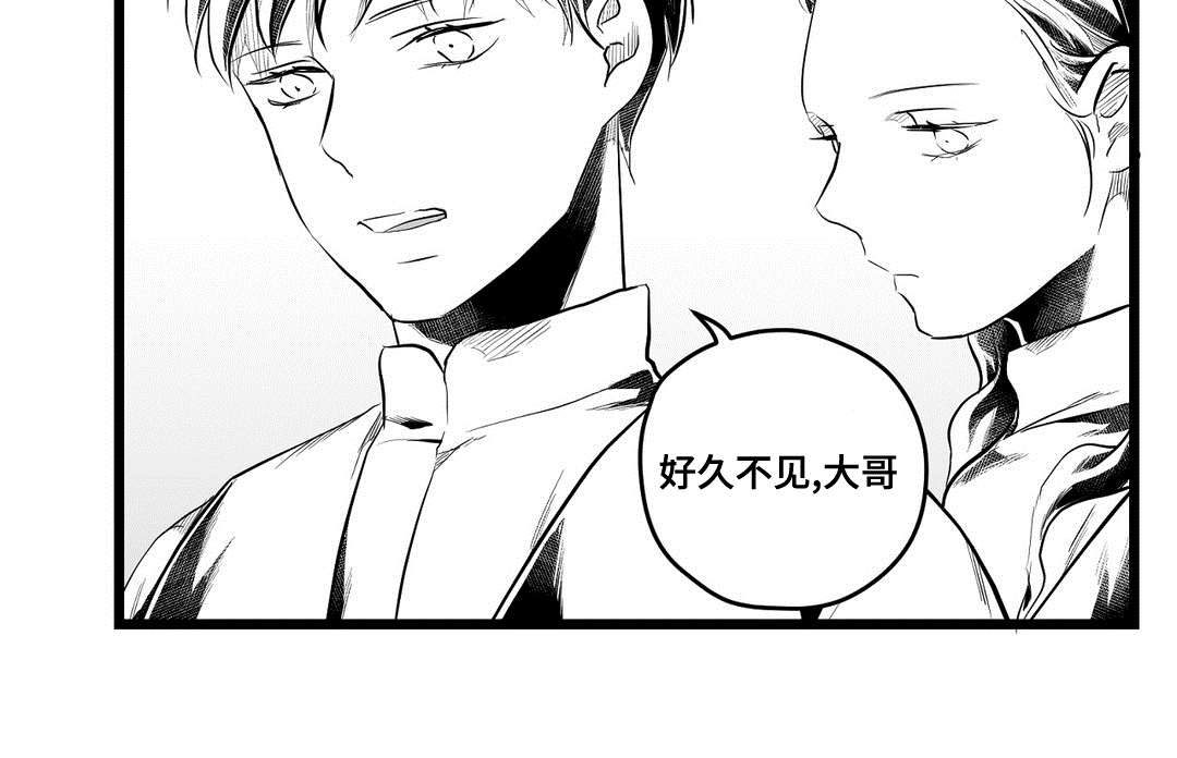 《巫师与王子》第75章见面 第13页