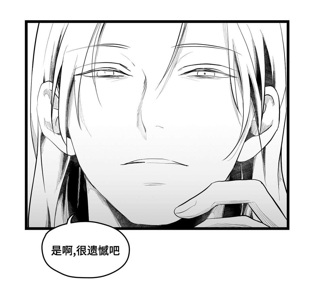 《巫师与王子》第75章见面 第17页