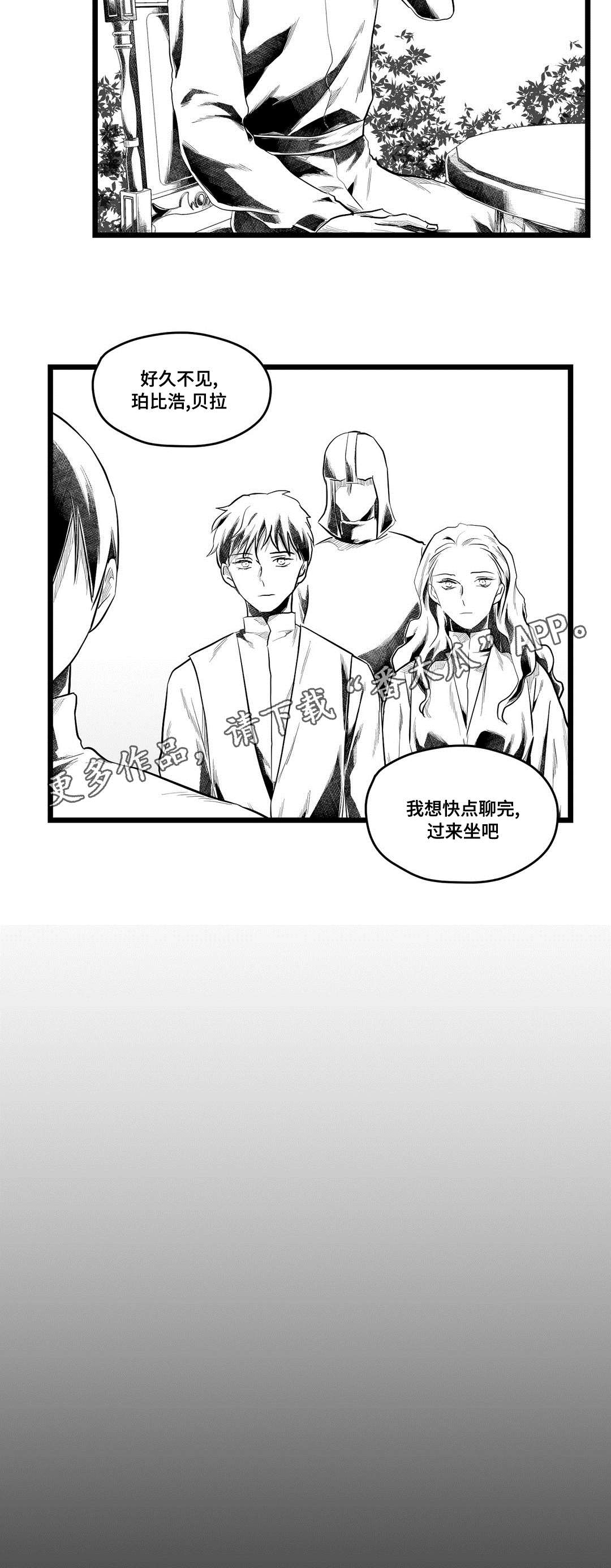 《巫师与王子》第75章见面 第4页