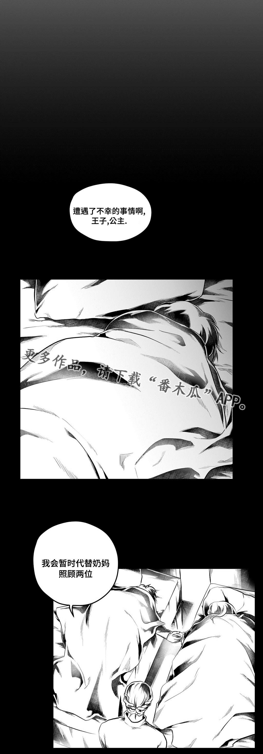 《巫师与王子》第75章见面 第5页