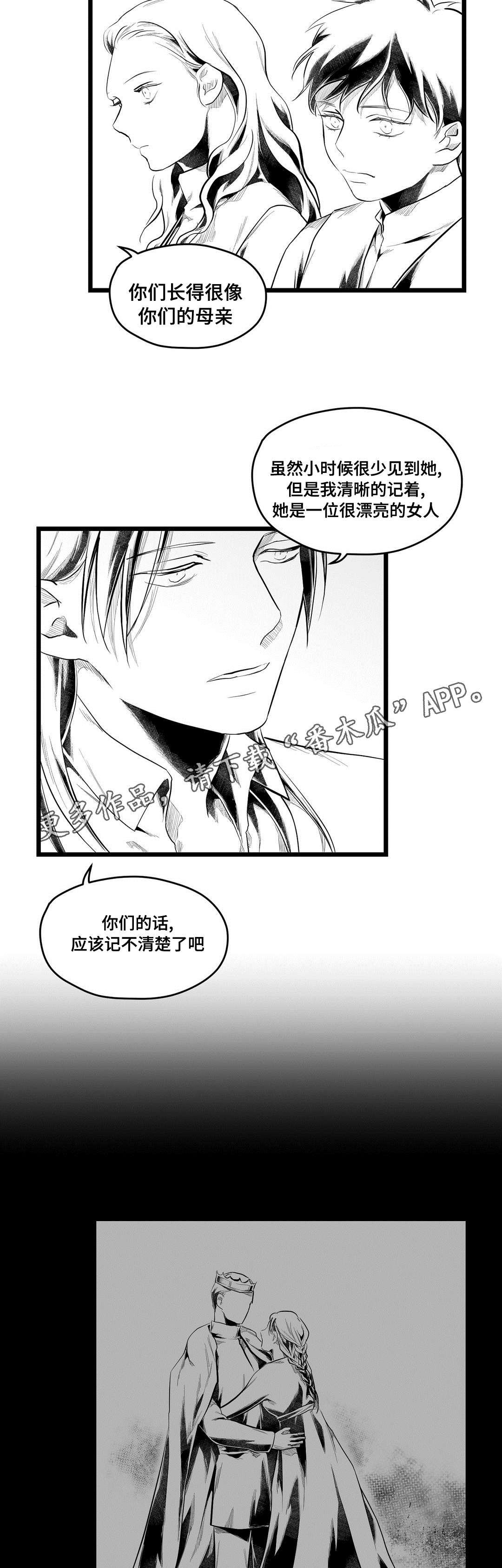 《巫师与王子》第76章故事 第8页