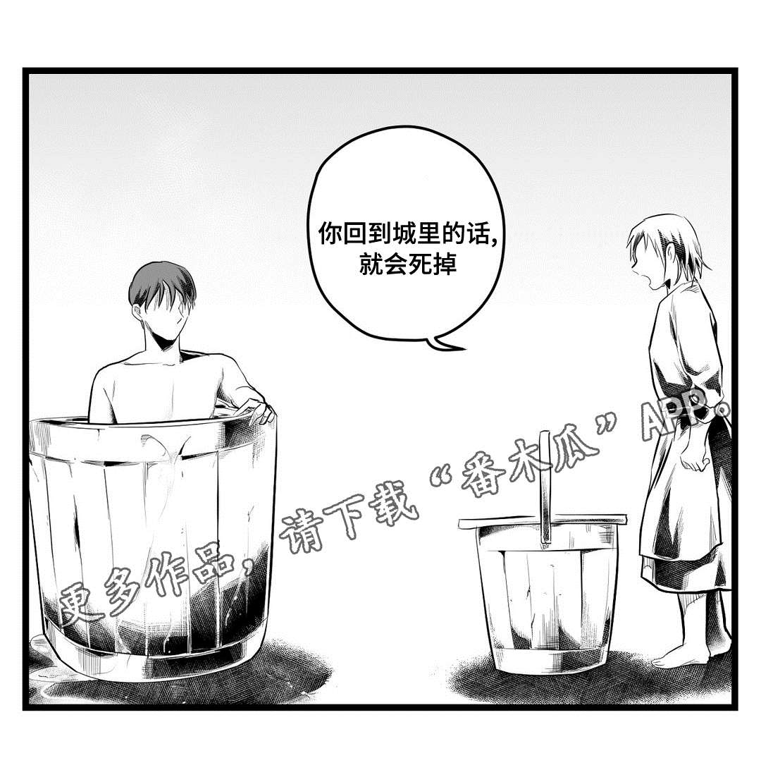 《巫师与王子》第77章预见未来 第10页