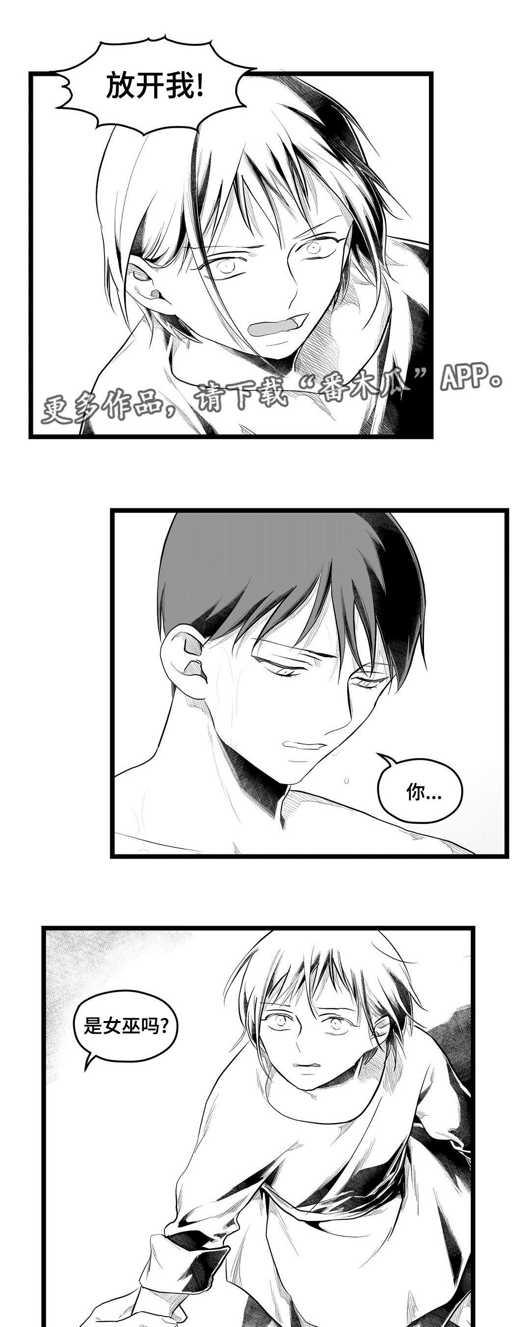 《巫师与王子》第77章预见未来 第17页