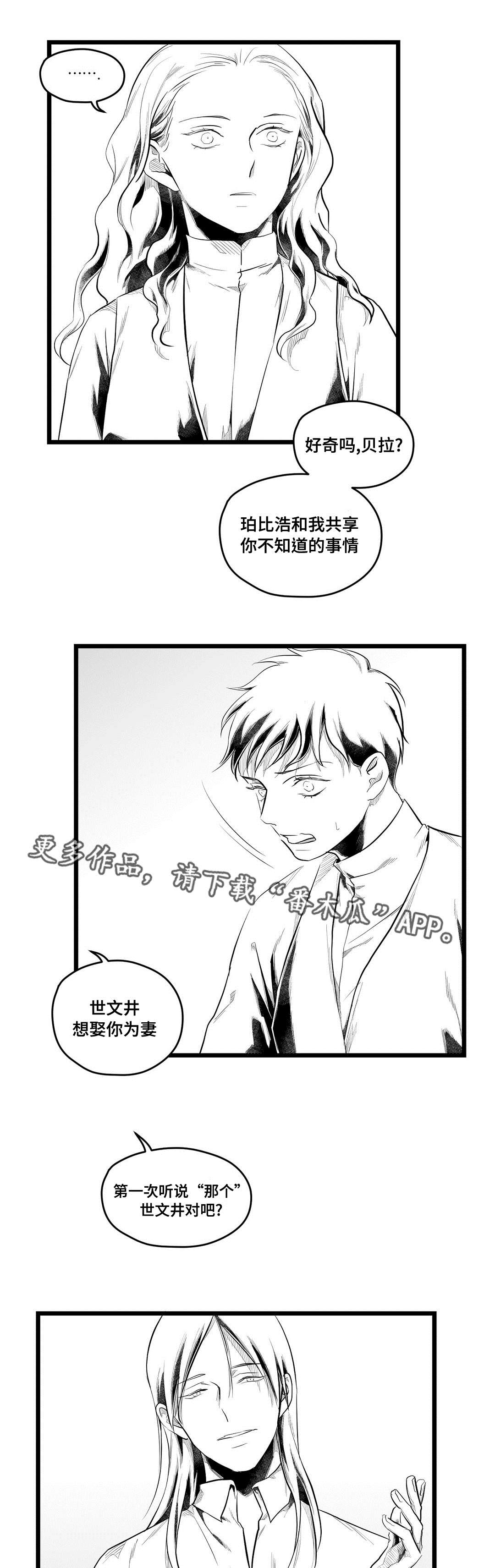 《巫师与王子》第77章预见未来 第4页