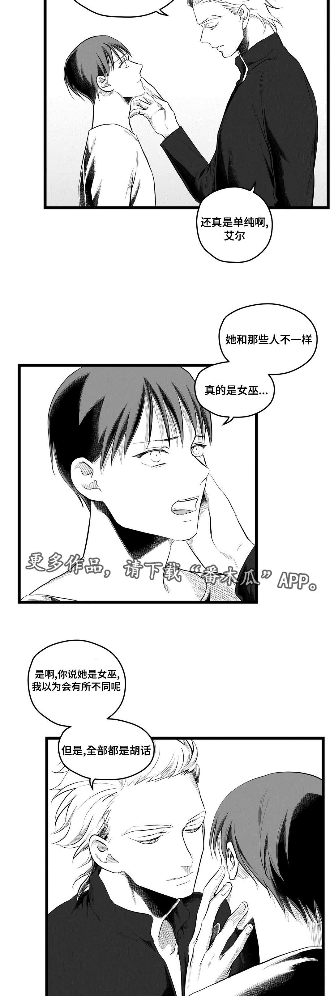 《巫师与王子》第80章骗子 第13页