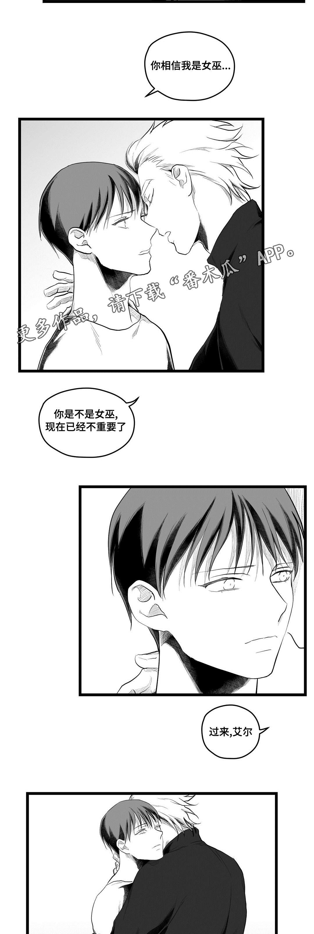 《巫师与王子》第80章骗子 第14页