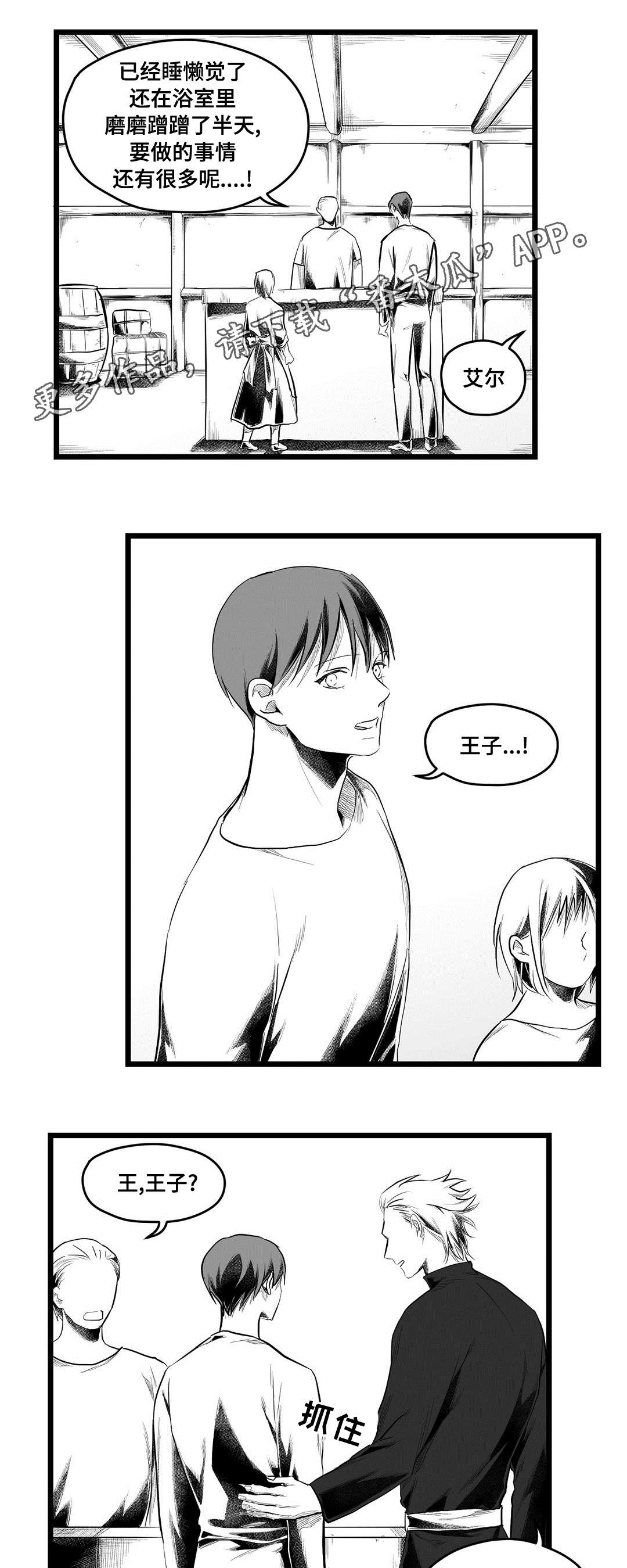 《巫师与王子》第80章骗子 第2页