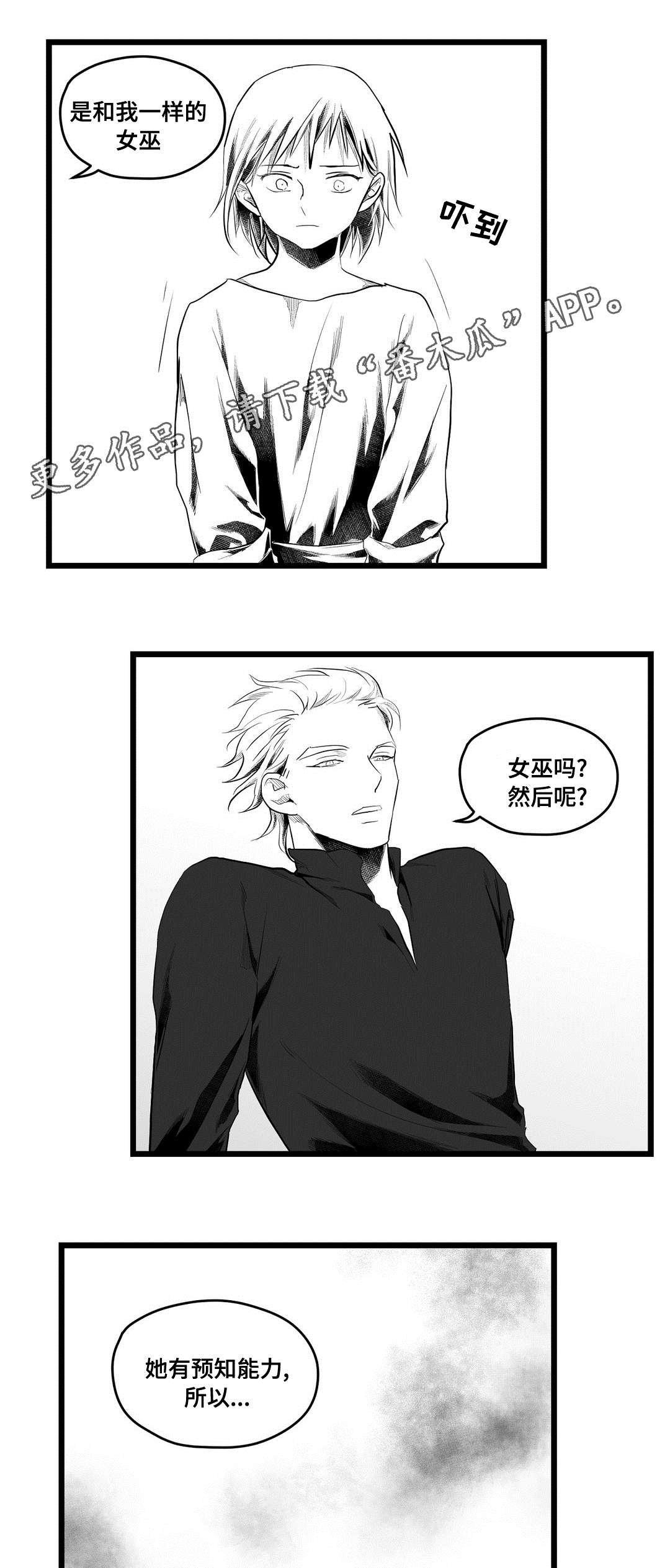 《巫师与王子》第80章骗子 第6页