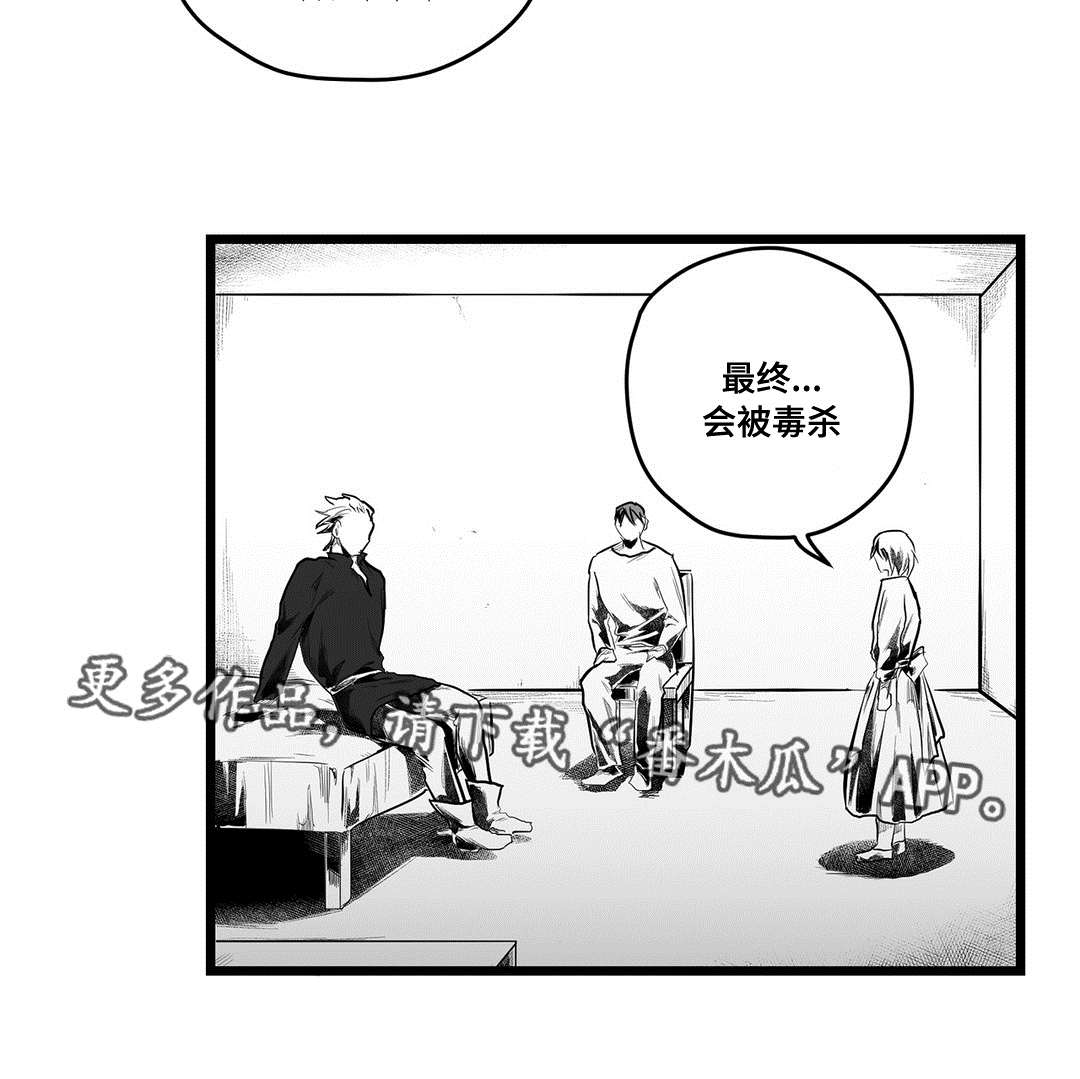 《巫师与王子》第80章骗子 第9页