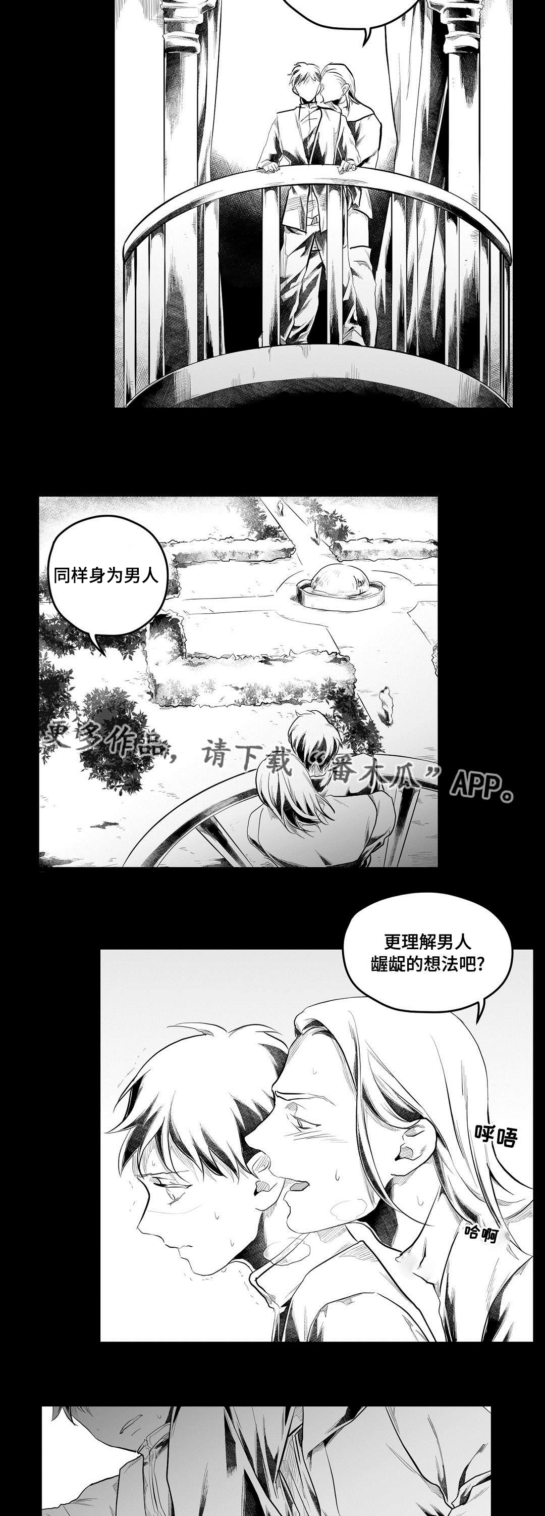 《巫师与王子》第79章杀人 第10页