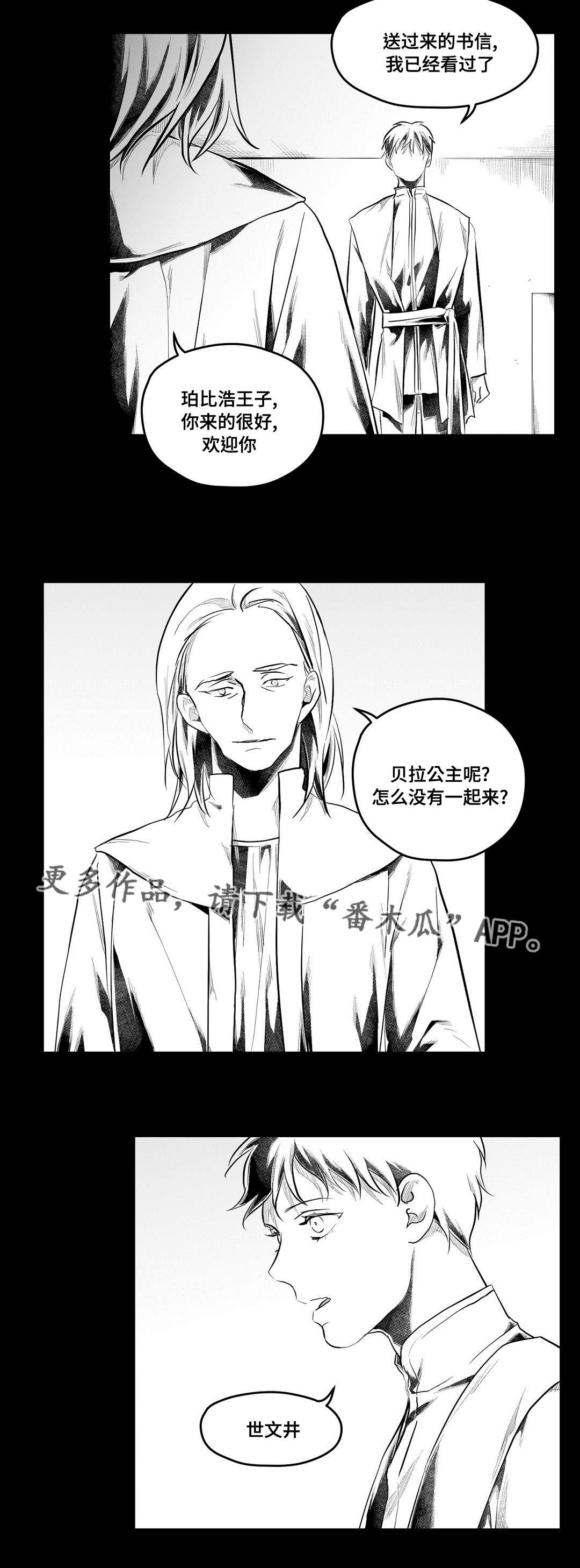 《巫师与王子》第79章杀人 第7页