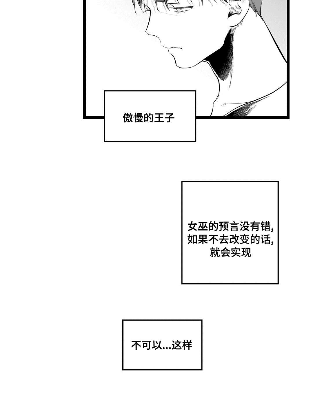 《巫师与王子》第83章手段 第6页