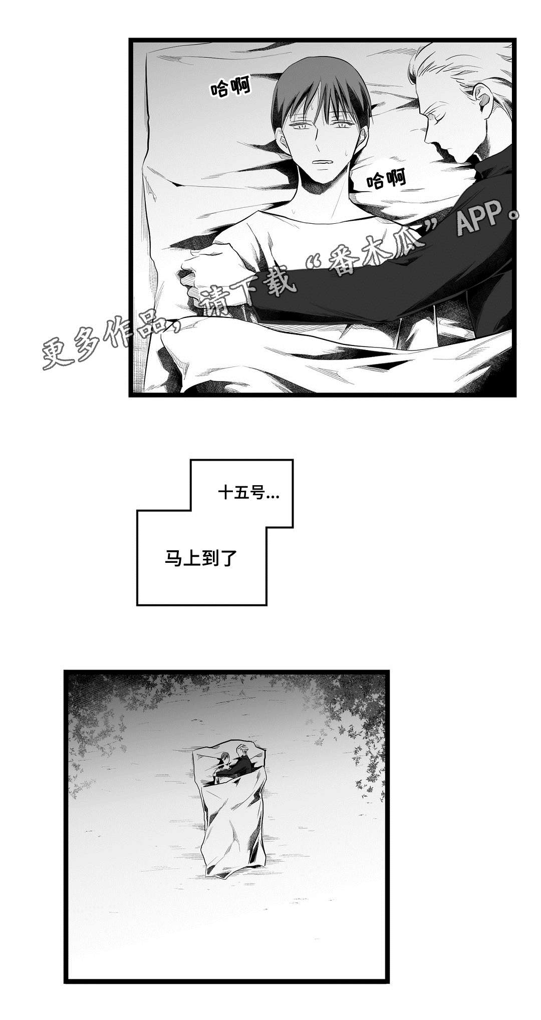 《巫师与王子》第82章梦 第12页