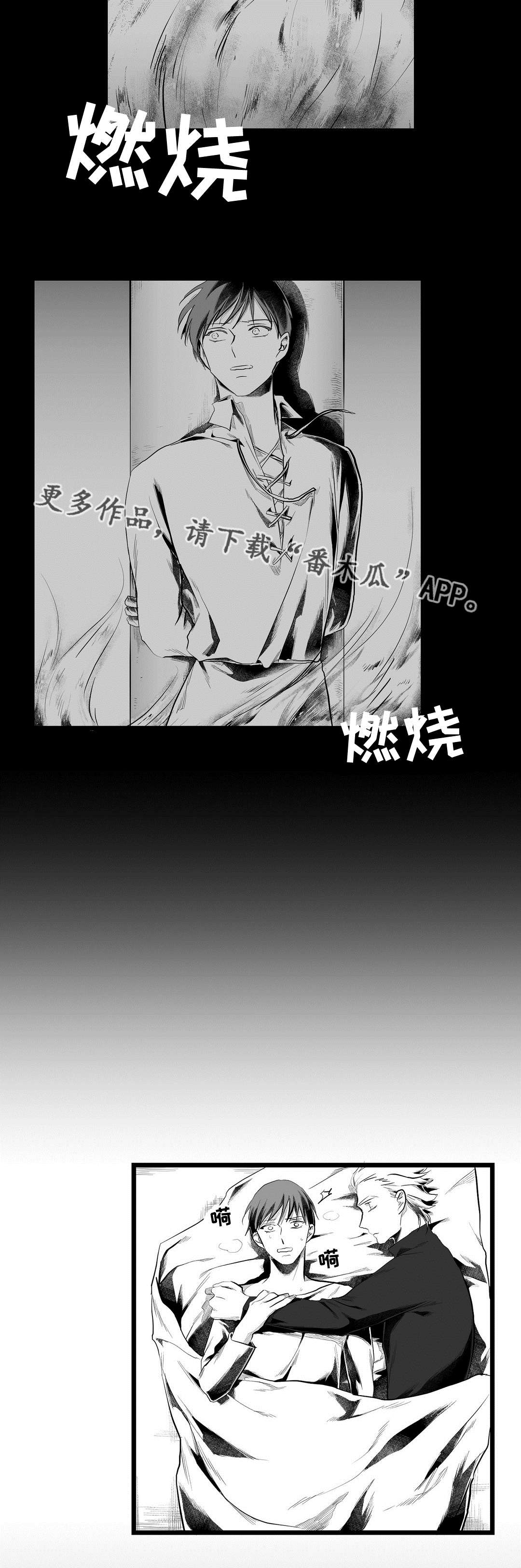 《巫师与王子》第82章梦 第8页