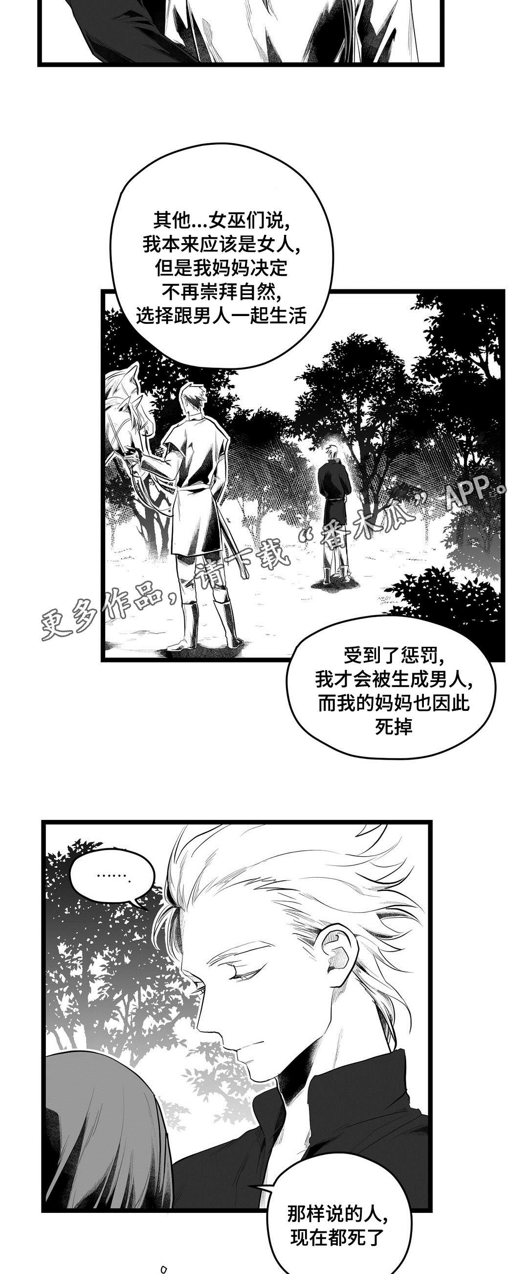 《巫师与王子》第84章十五 第10页
