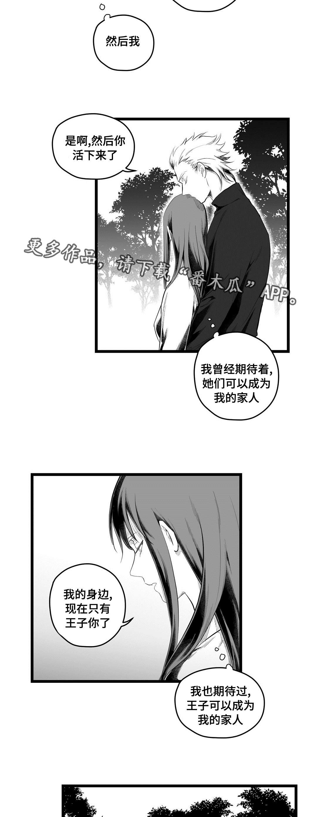《巫师与王子》第84章十五 第11页
