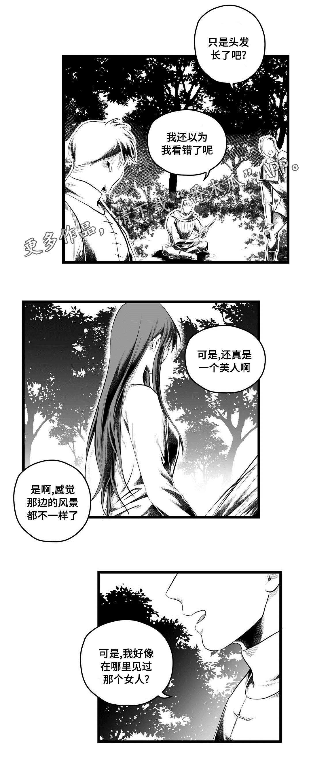 《巫师与王子》第84章十五 第13页