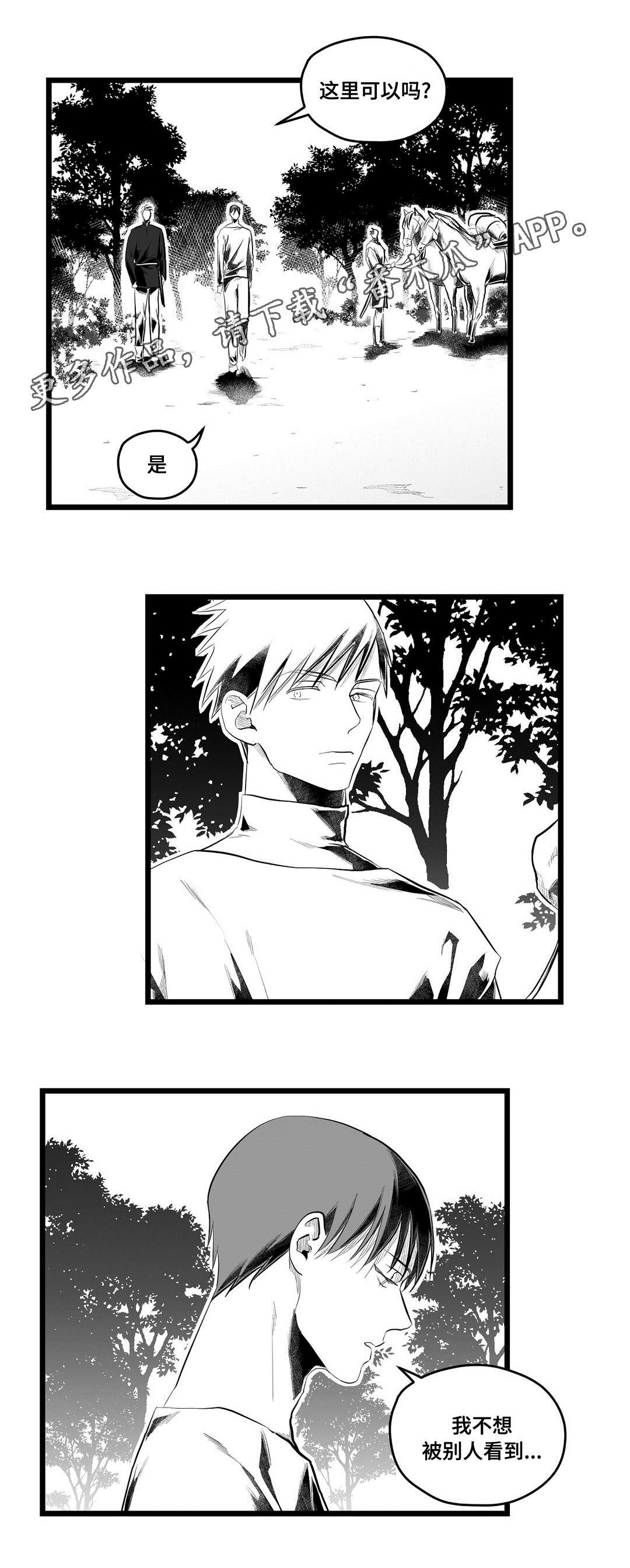《巫师与王子》第84章十五 第5页