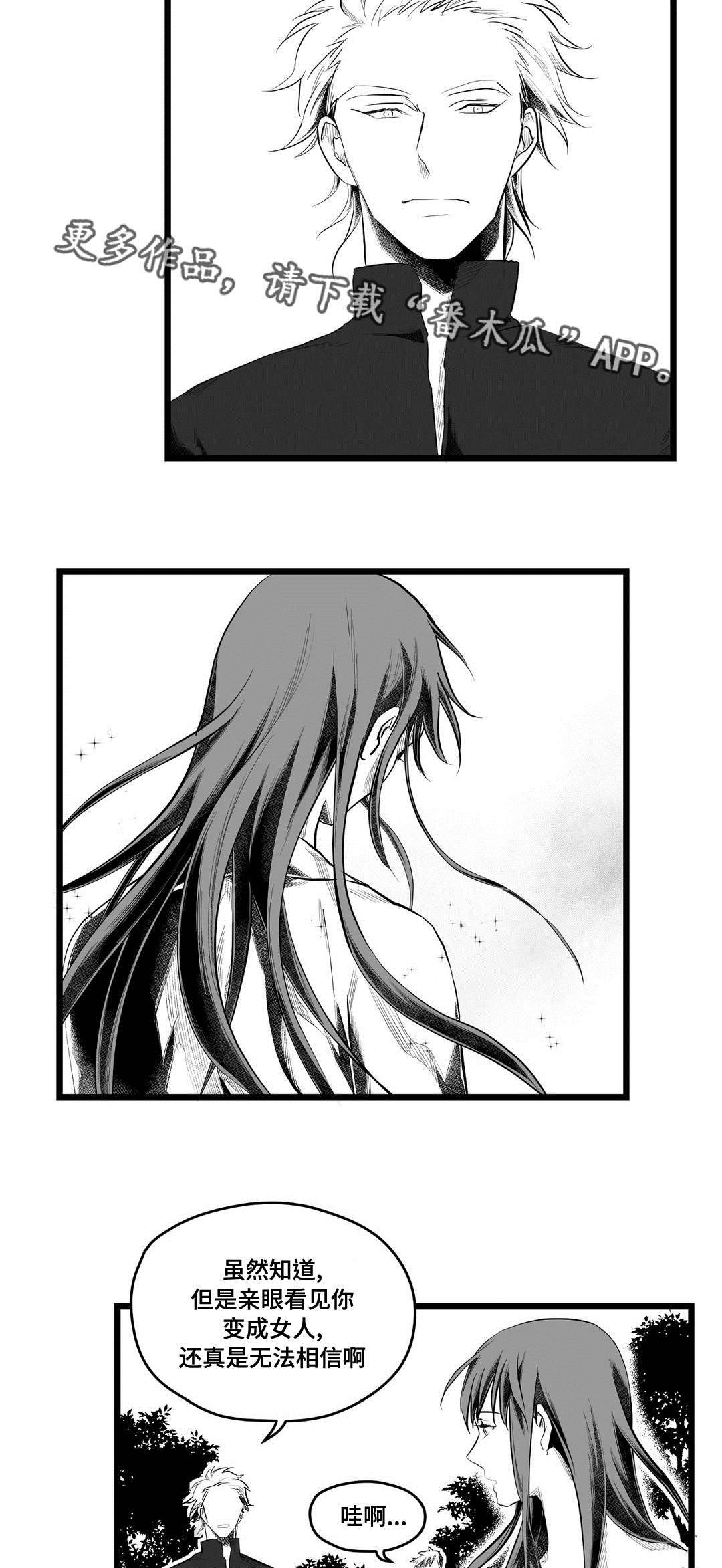 《巫师与王子》第84章十五 第7页