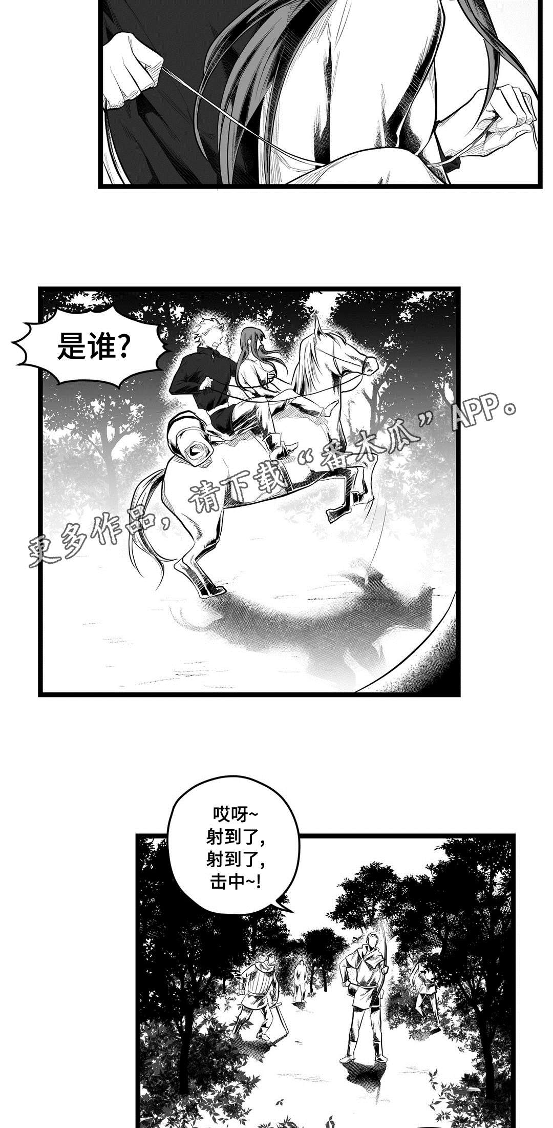 《巫师与王子》第85章遇袭 第19页