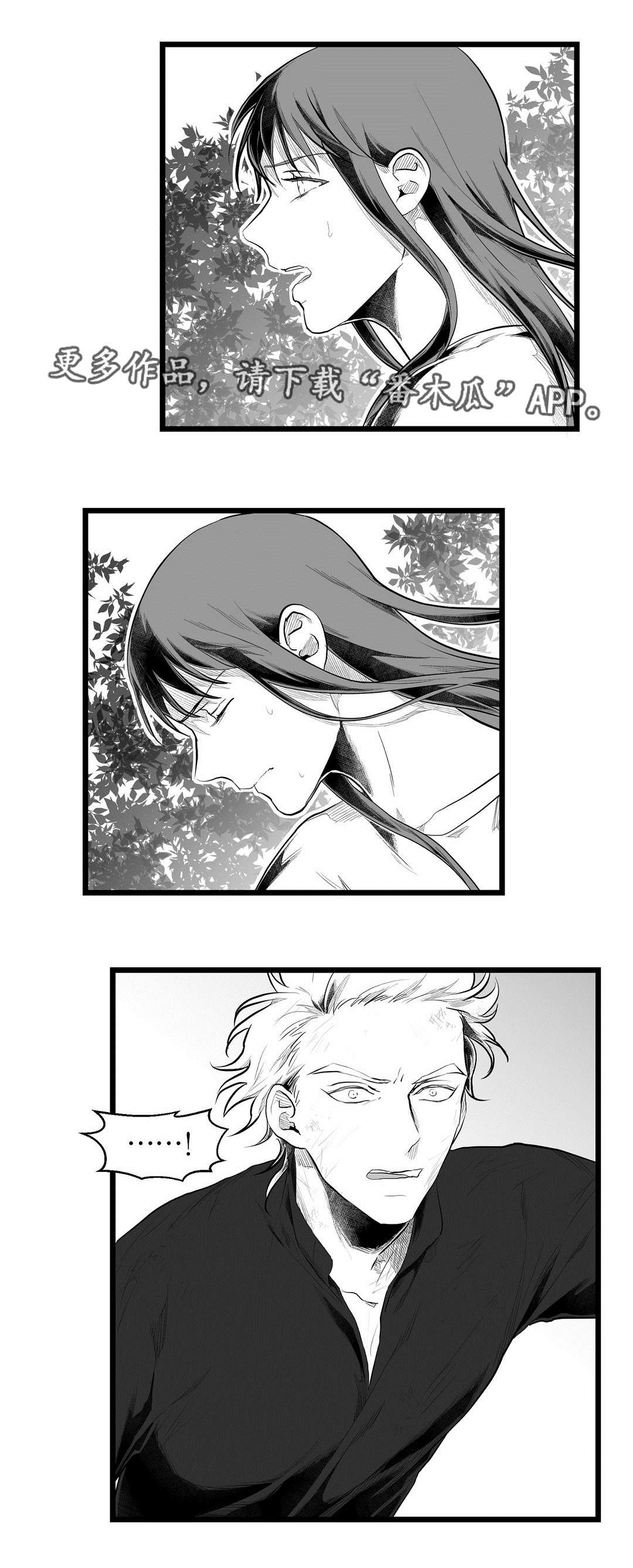 《巫师与王子》第85章遇袭 第23页