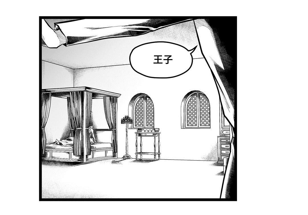 《巫师与王子》第85章遇袭 第4页