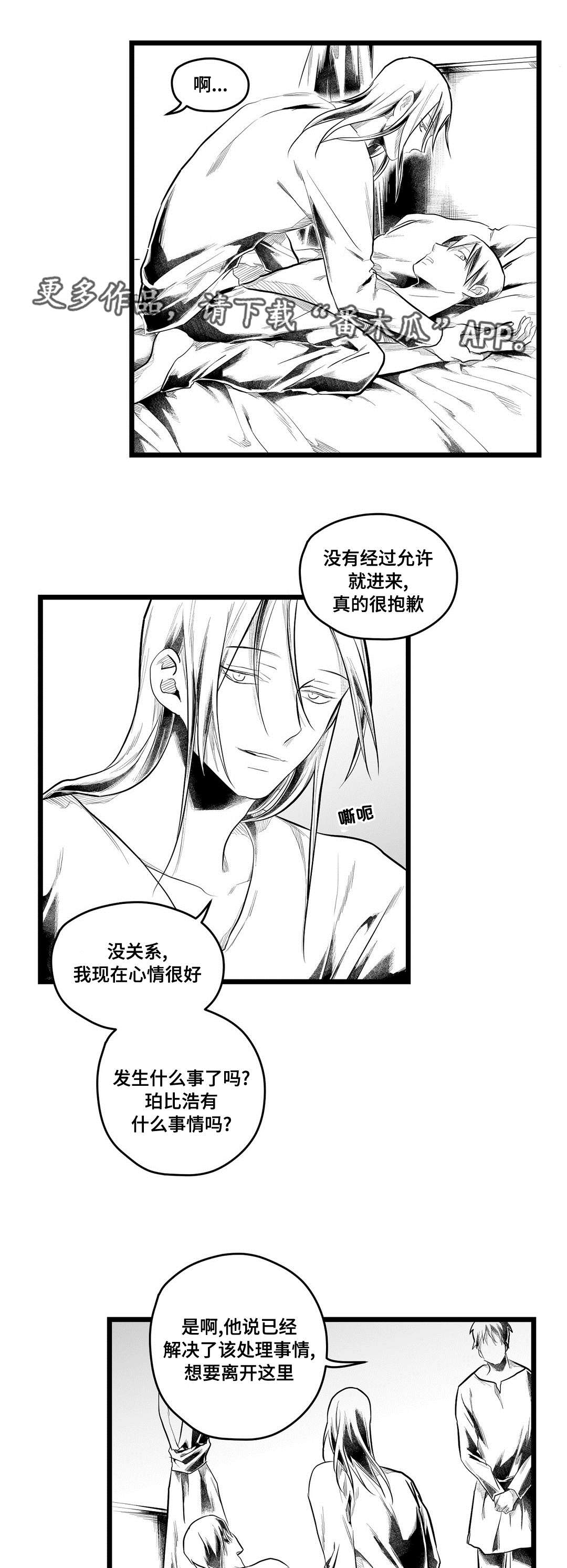 《巫师与王子》第85章遇袭 第5页