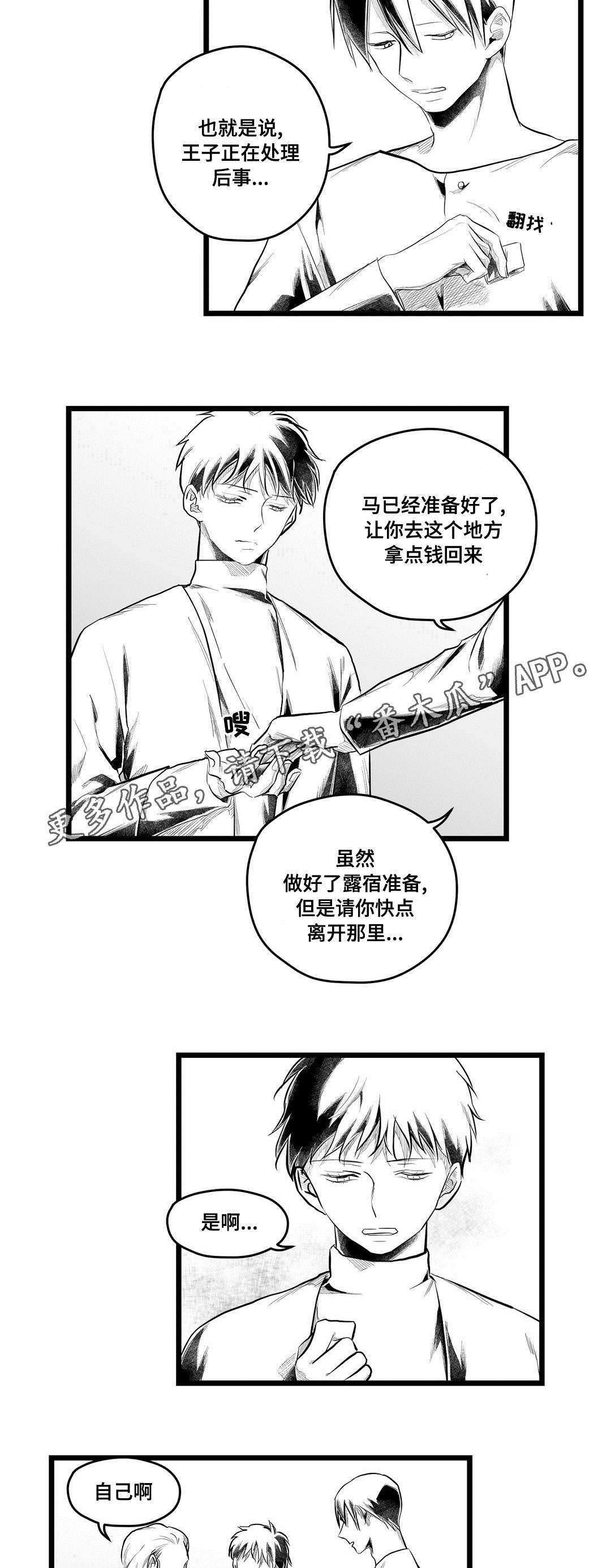 《巫师与王子》第85章遇袭 第8页