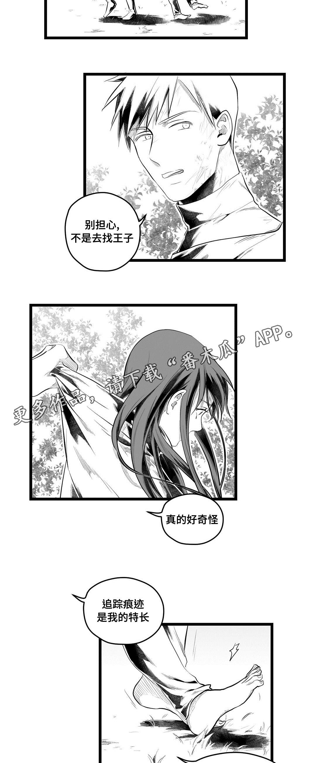 《巫师与王子》第87章抓住 第2页
