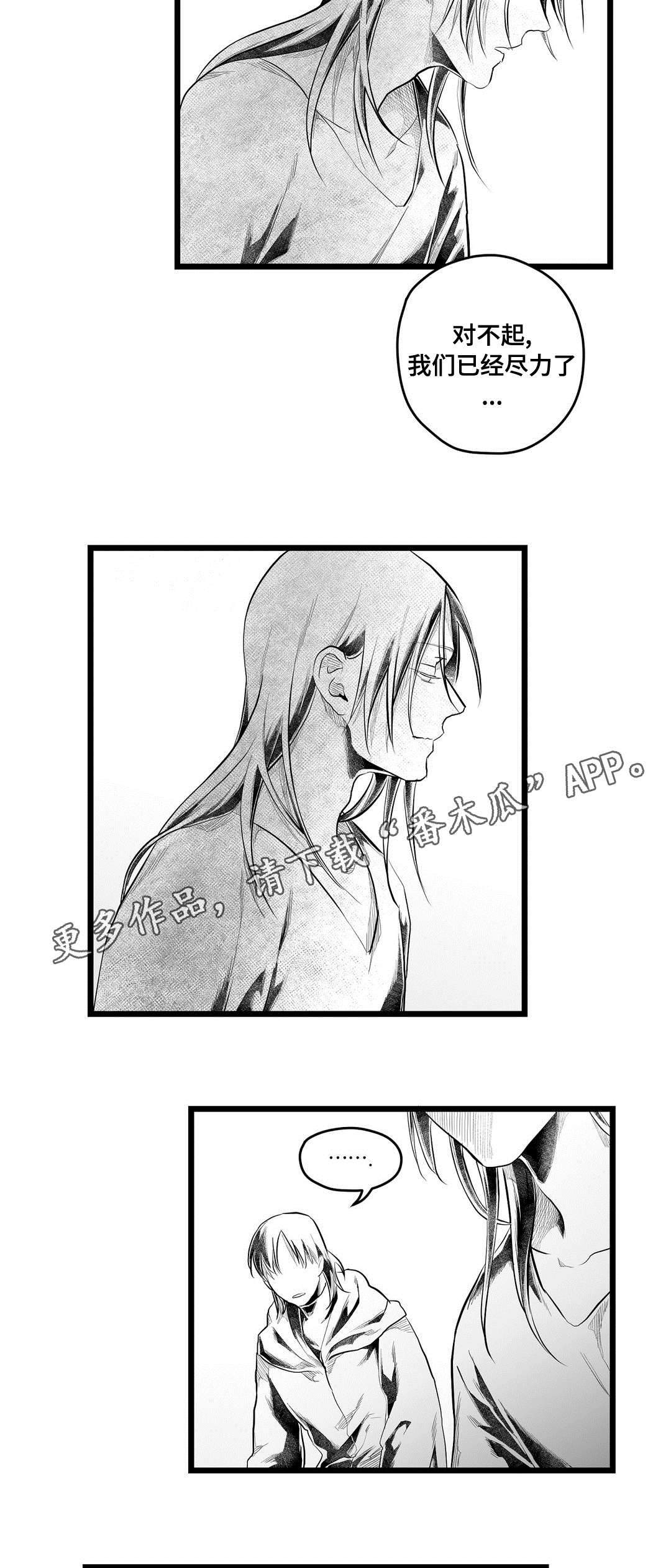 《巫师与王子》第86章病危 第11页