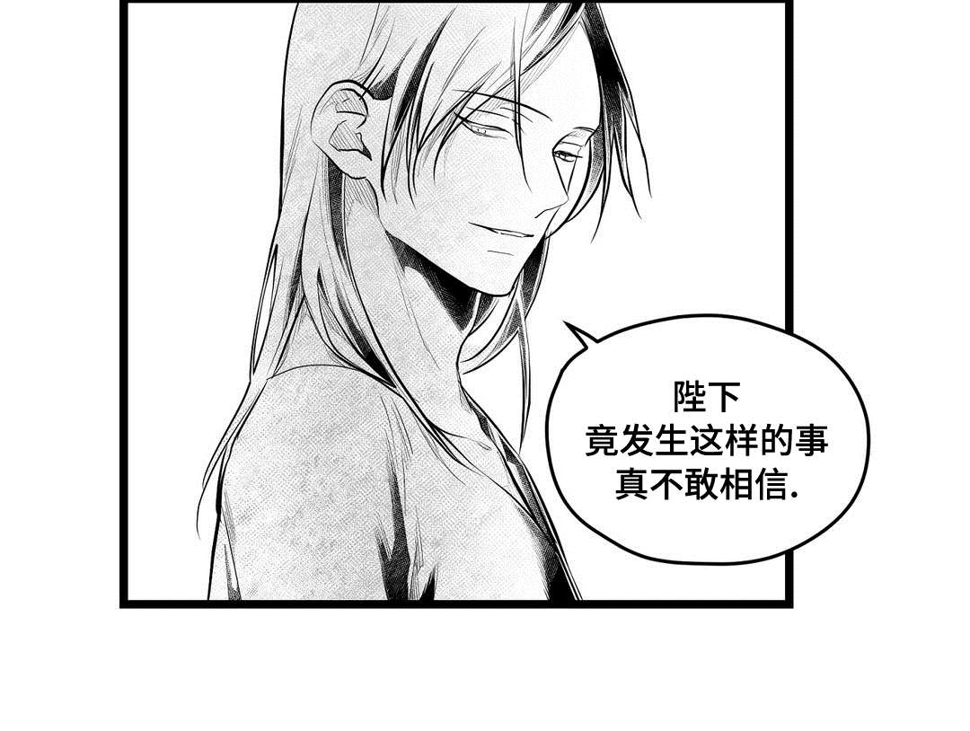 《巫师与王子》第86章病危 第12页